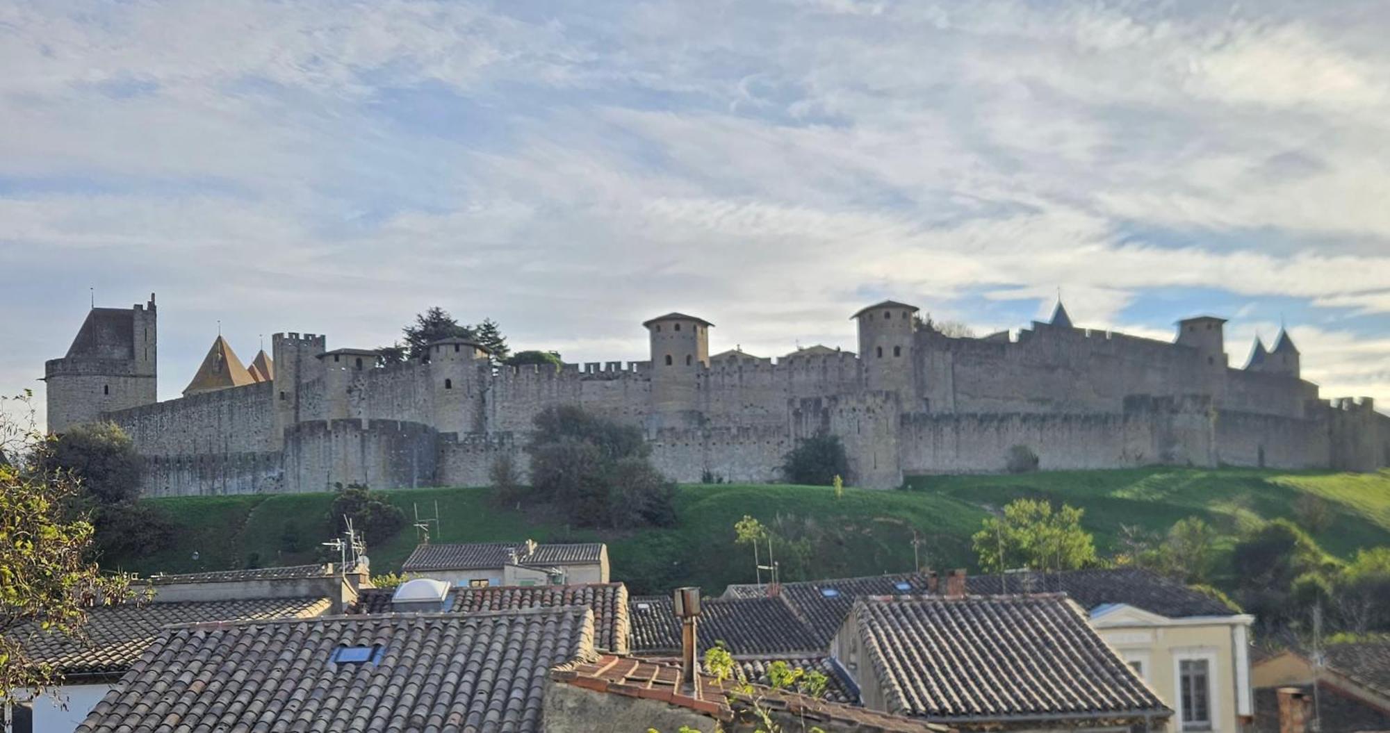 Vue Cite Medievale Castel View Καρκασόν Εξωτερικό φωτογραφία
