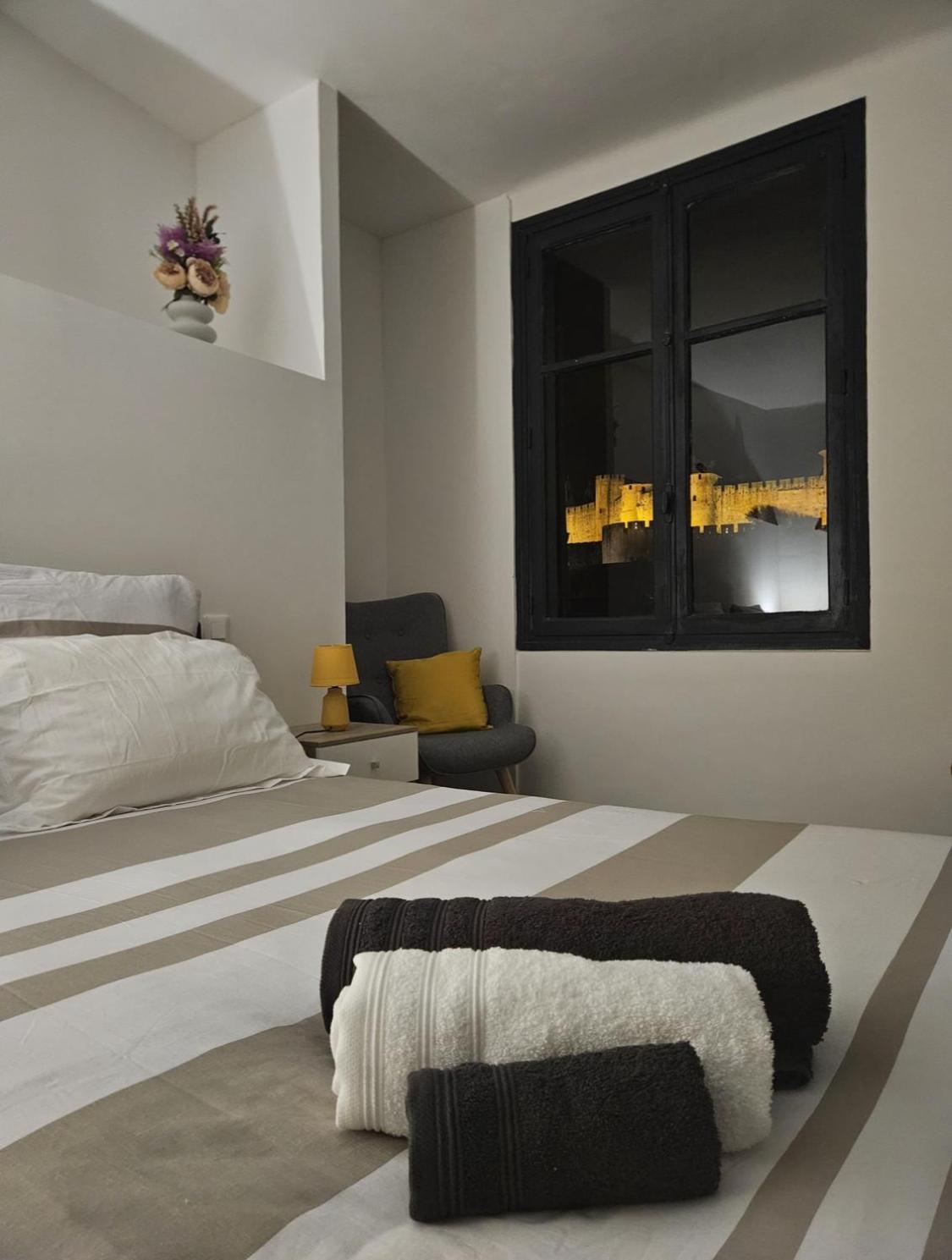 Vue Cite Medievale Castel View Καρκασόν Εξωτερικό φωτογραφία