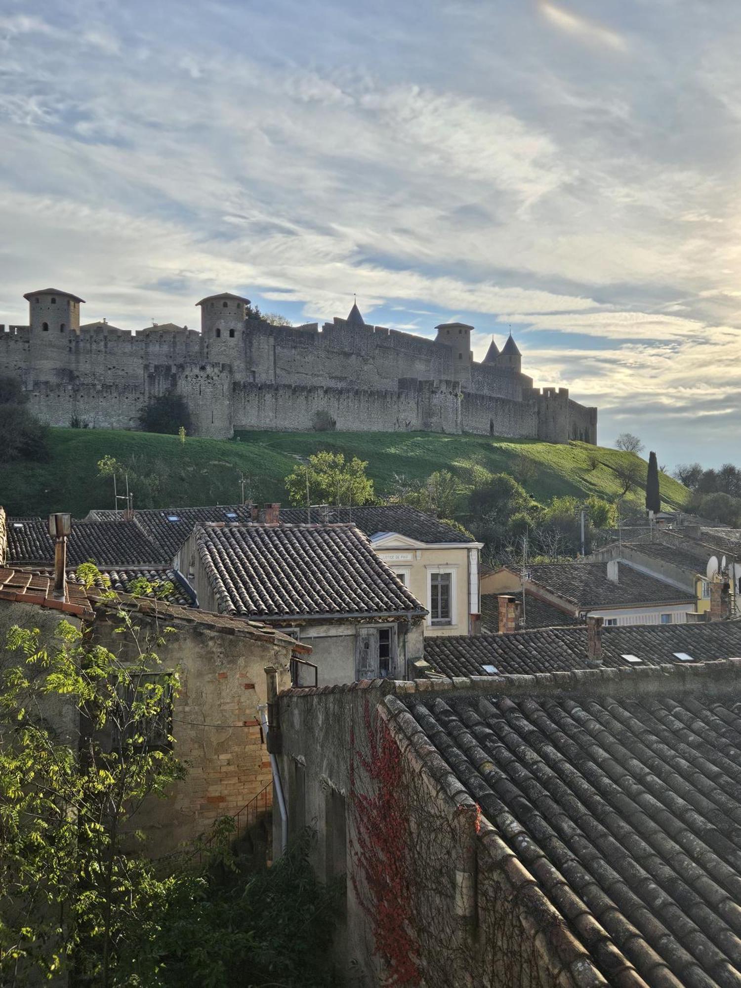 Vue Cite Medievale Castel View Καρκασόν Εξωτερικό φωτογραφία