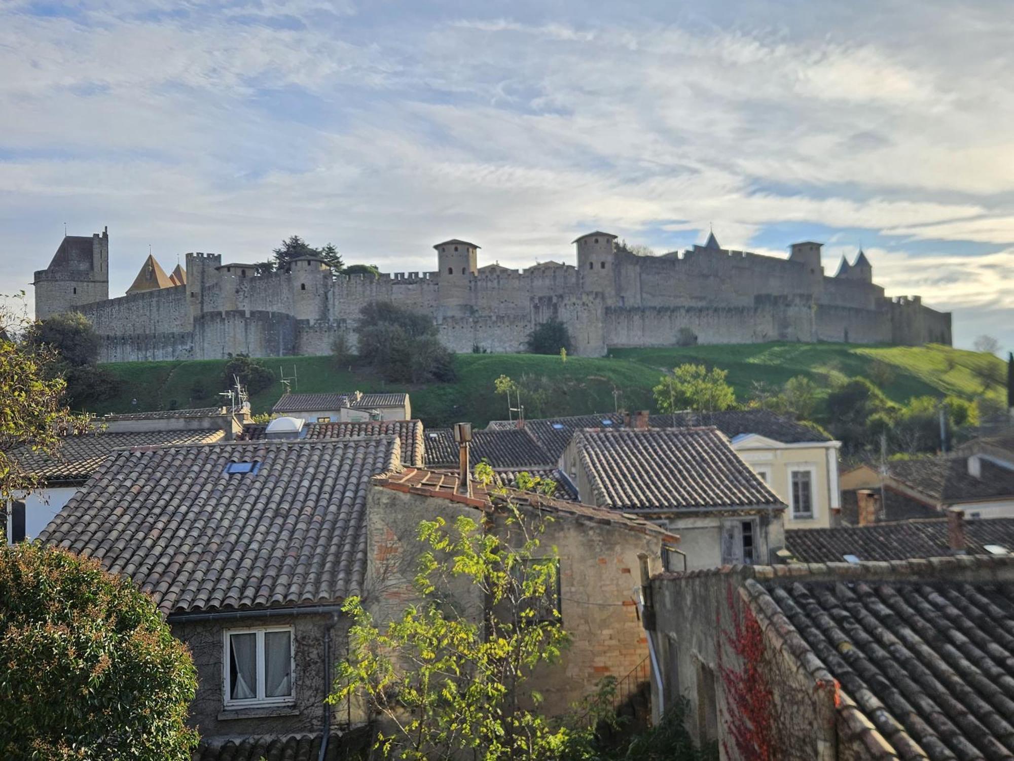 Vue Cite Medievale Castel View Καρκασόν Εξωτερικό φωτογραφία