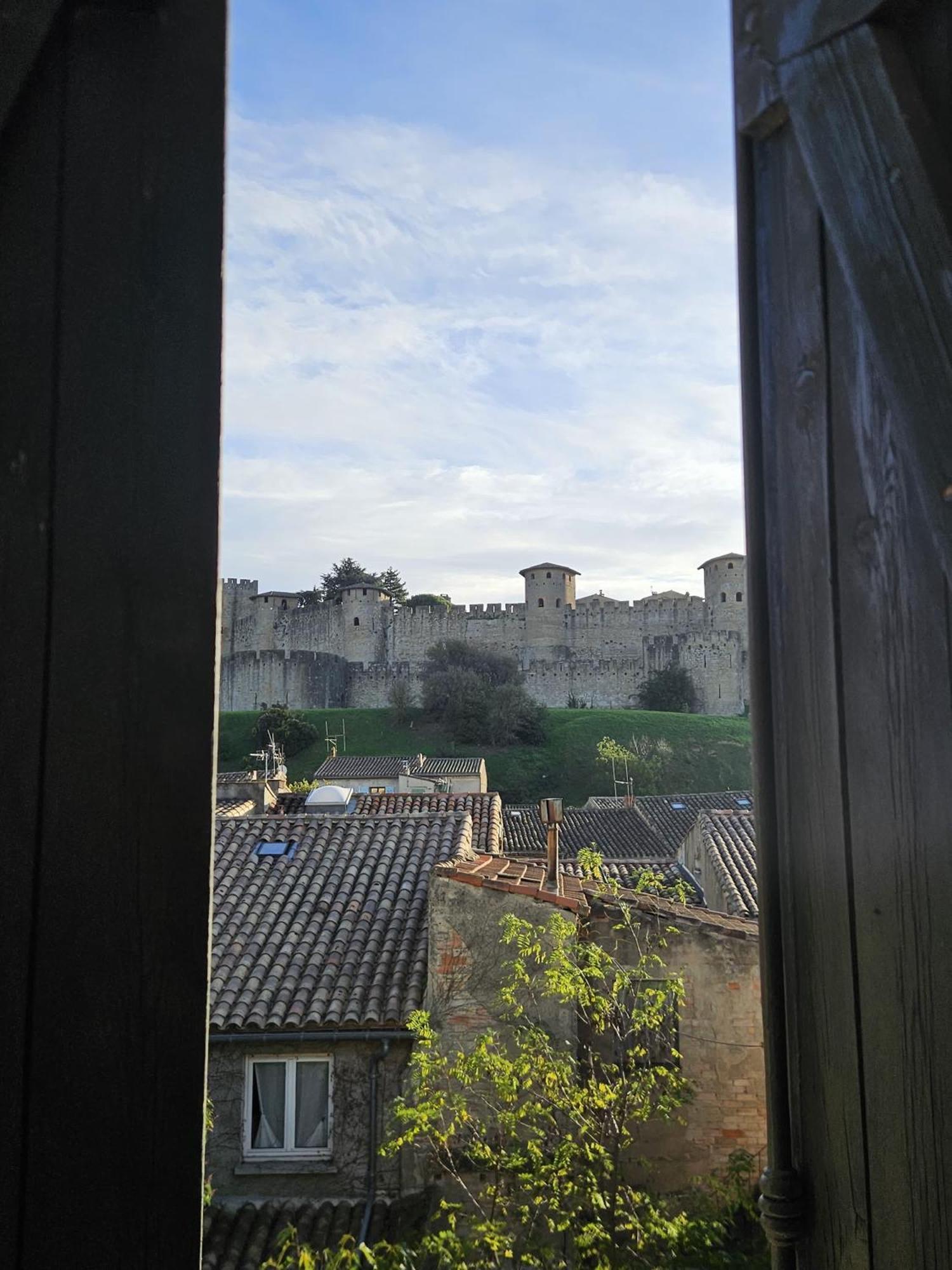 Vue Cite Medievale Castel View Καρκασόν Εξωτερικό φωτογραφία